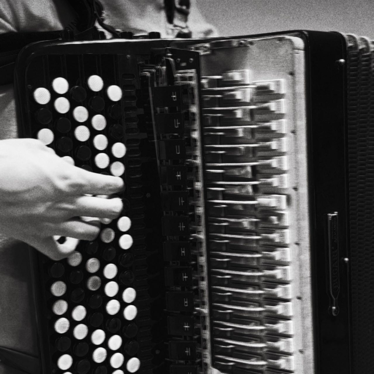 Accordion