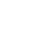 ins